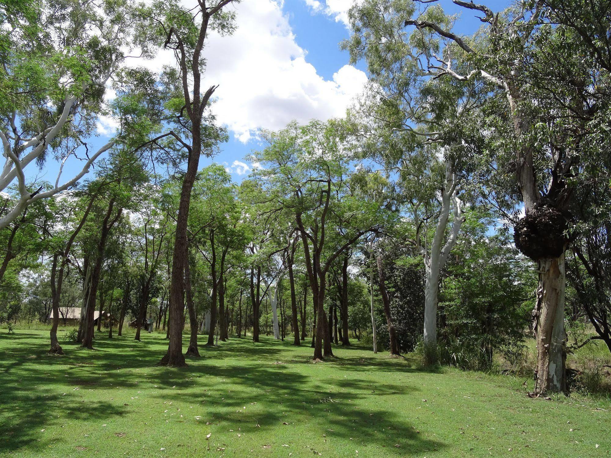 Luxury tent Bell Gorge Wilderness King Leopold Ranges